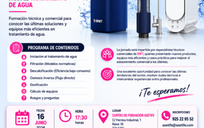 BWT 400x250 - Inicio