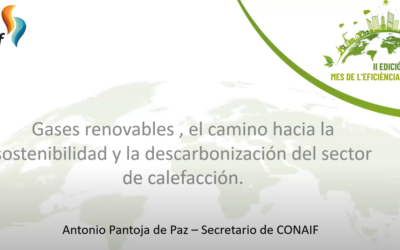 Captura de pantalla 2022 05 16 163045 400x250 - Actualidad