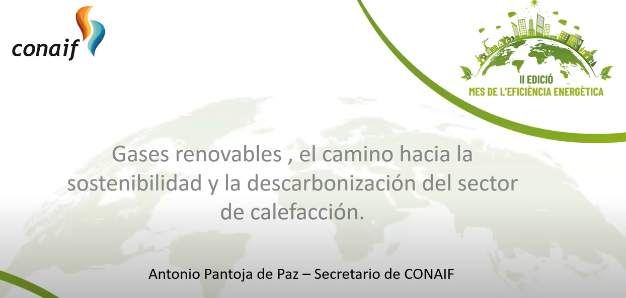 Captura de pantalla 2022 05 16 163045 - Ponencia "Gases Renovables"